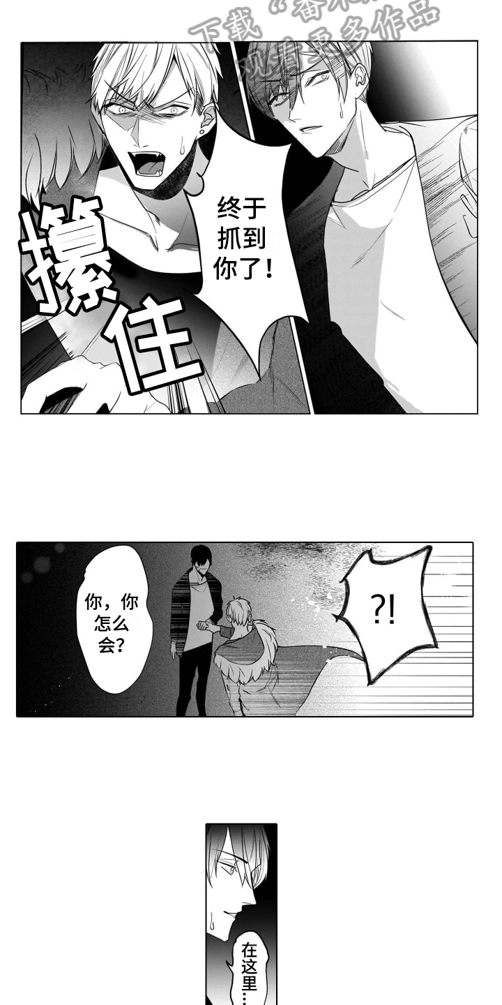 老虎的猎物 第16话 第10页