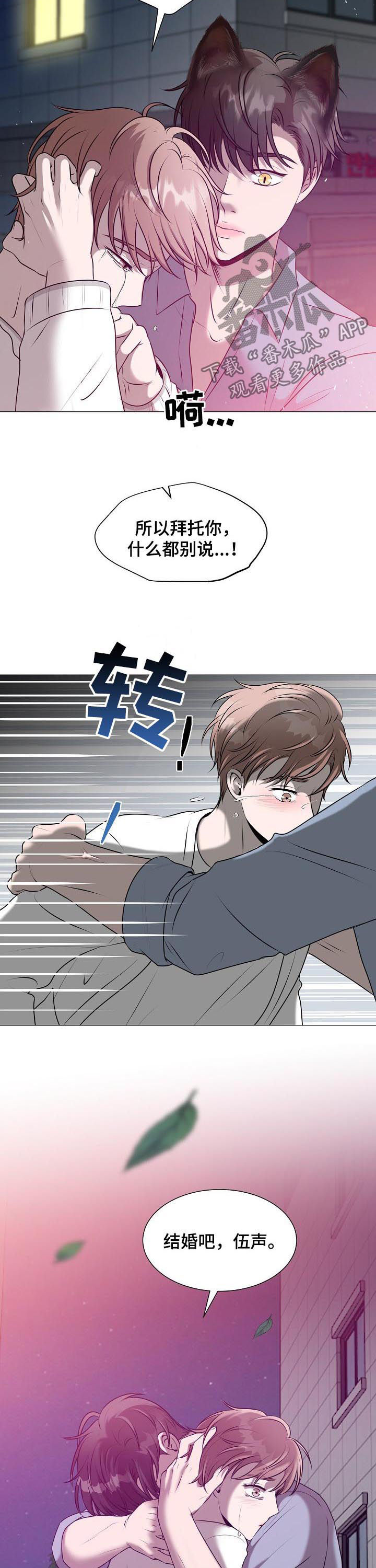 猫猫初体验 第39话 第6页