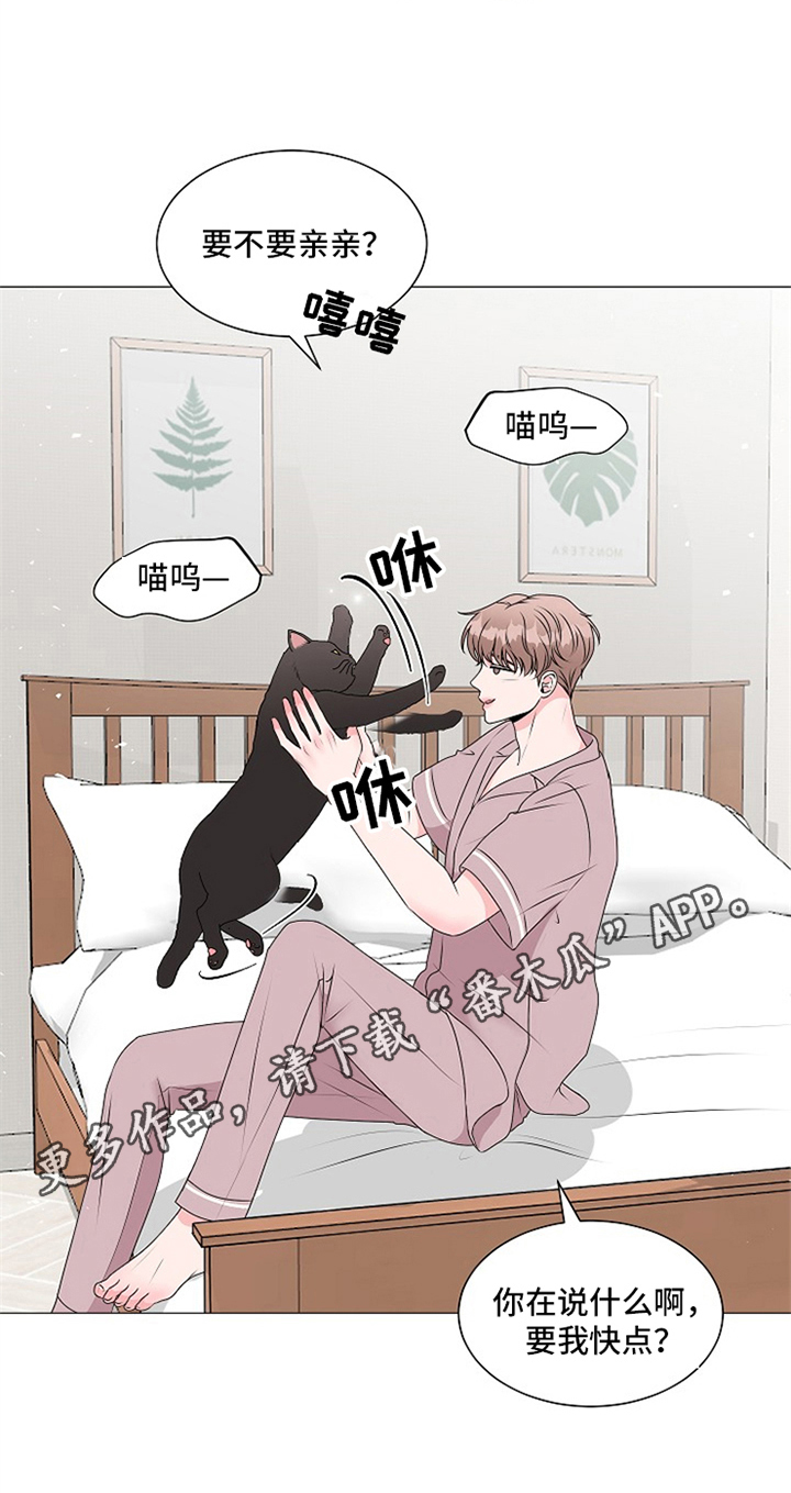 猫猫初体验 第35话 第34页