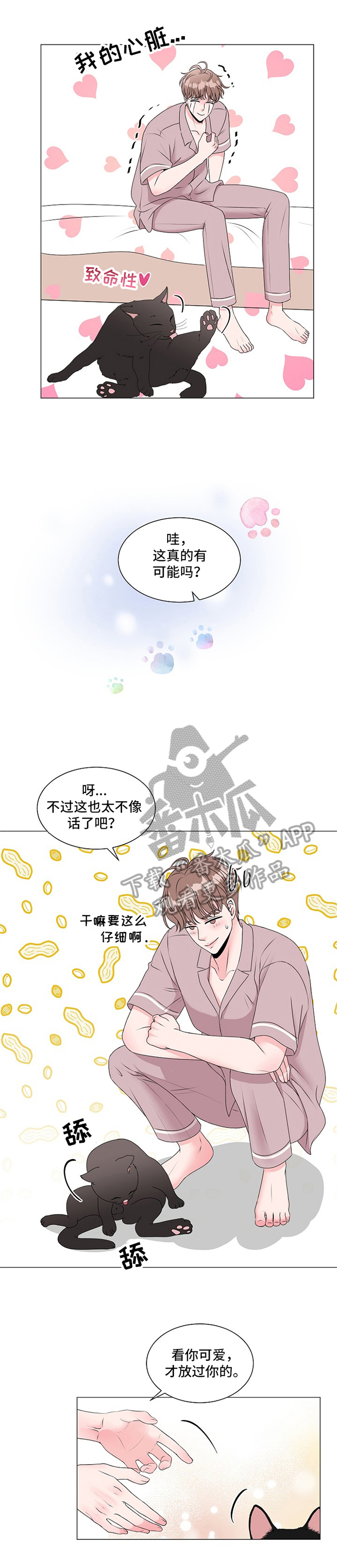 猫猫初体验 第35话 第32页