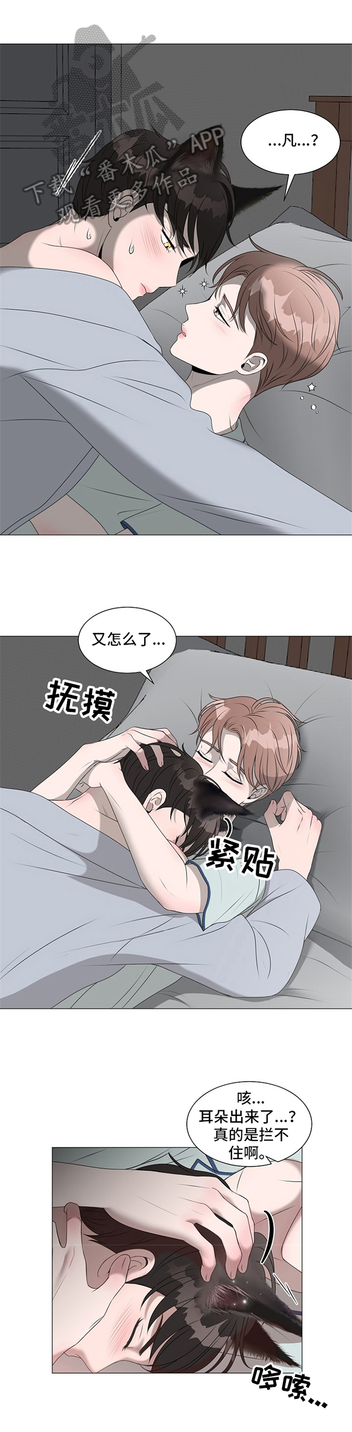 猫猫初体验 第16话 第2页