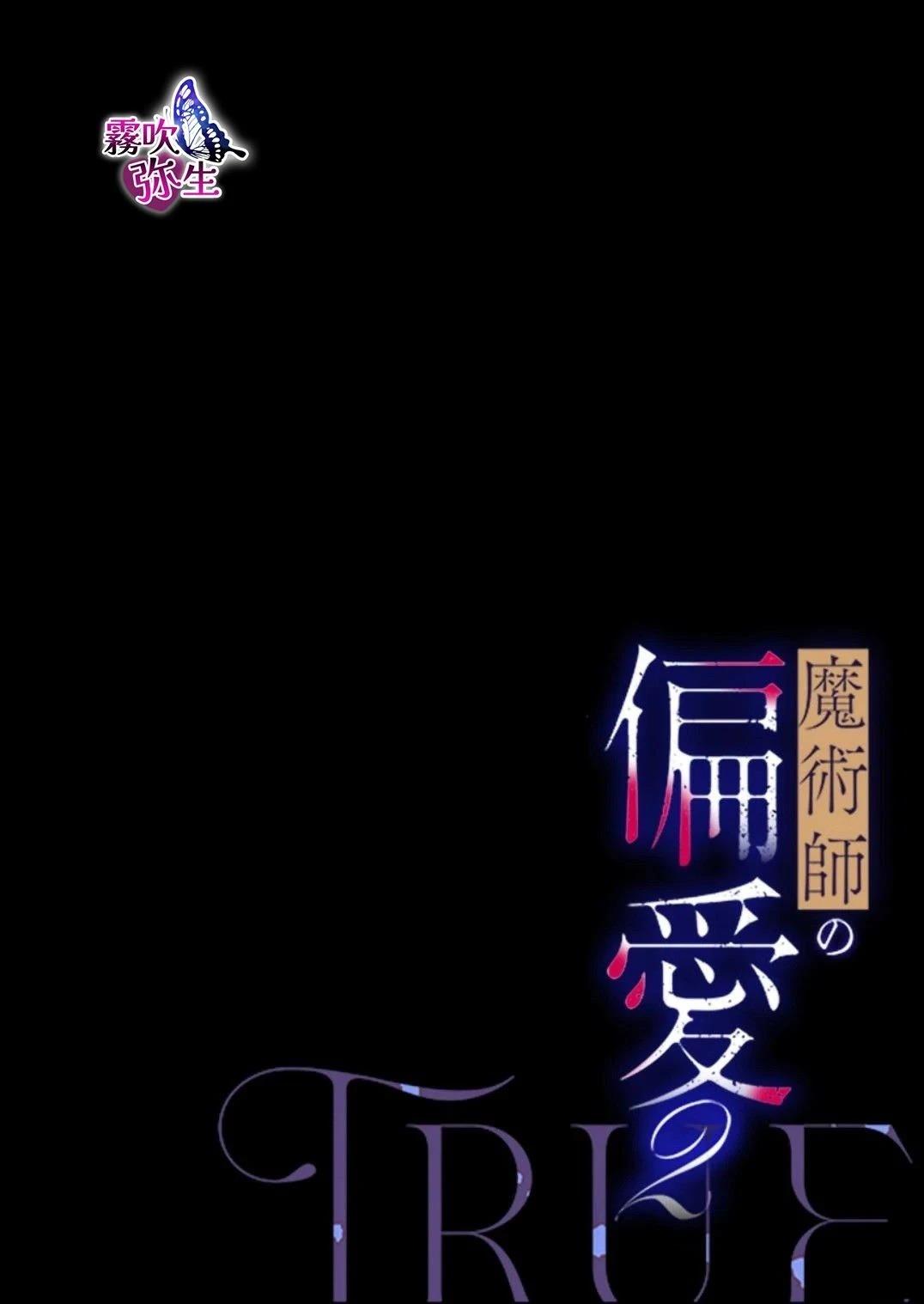 魔法师的偏爱-True Route 上篇 第2页