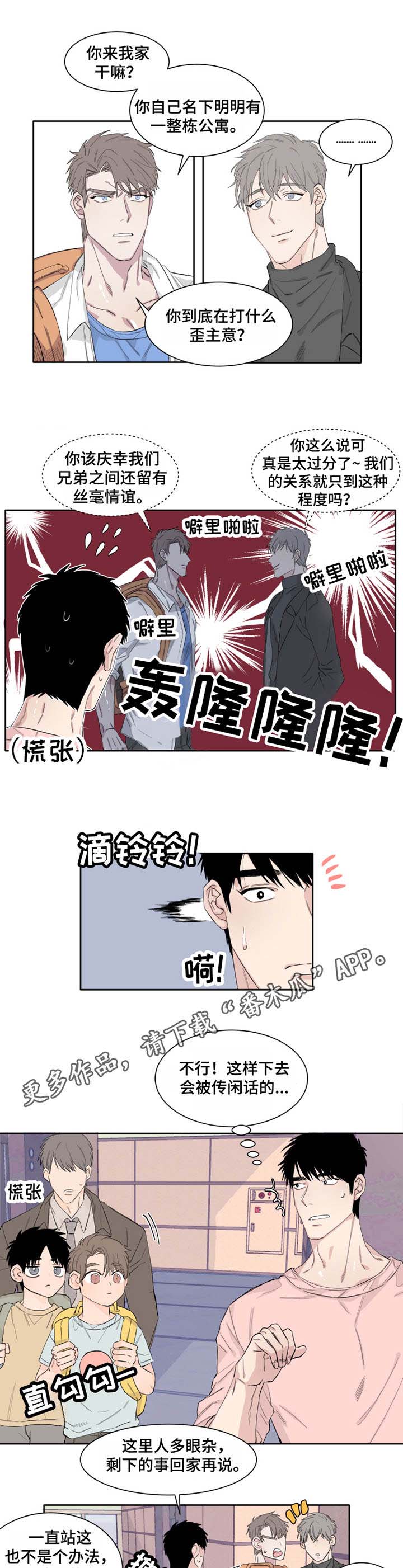 夺爱守护 第11章：亲哥哥 第3页