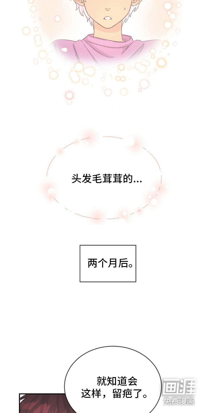 我的爱豆弟弟 第8话 第13页