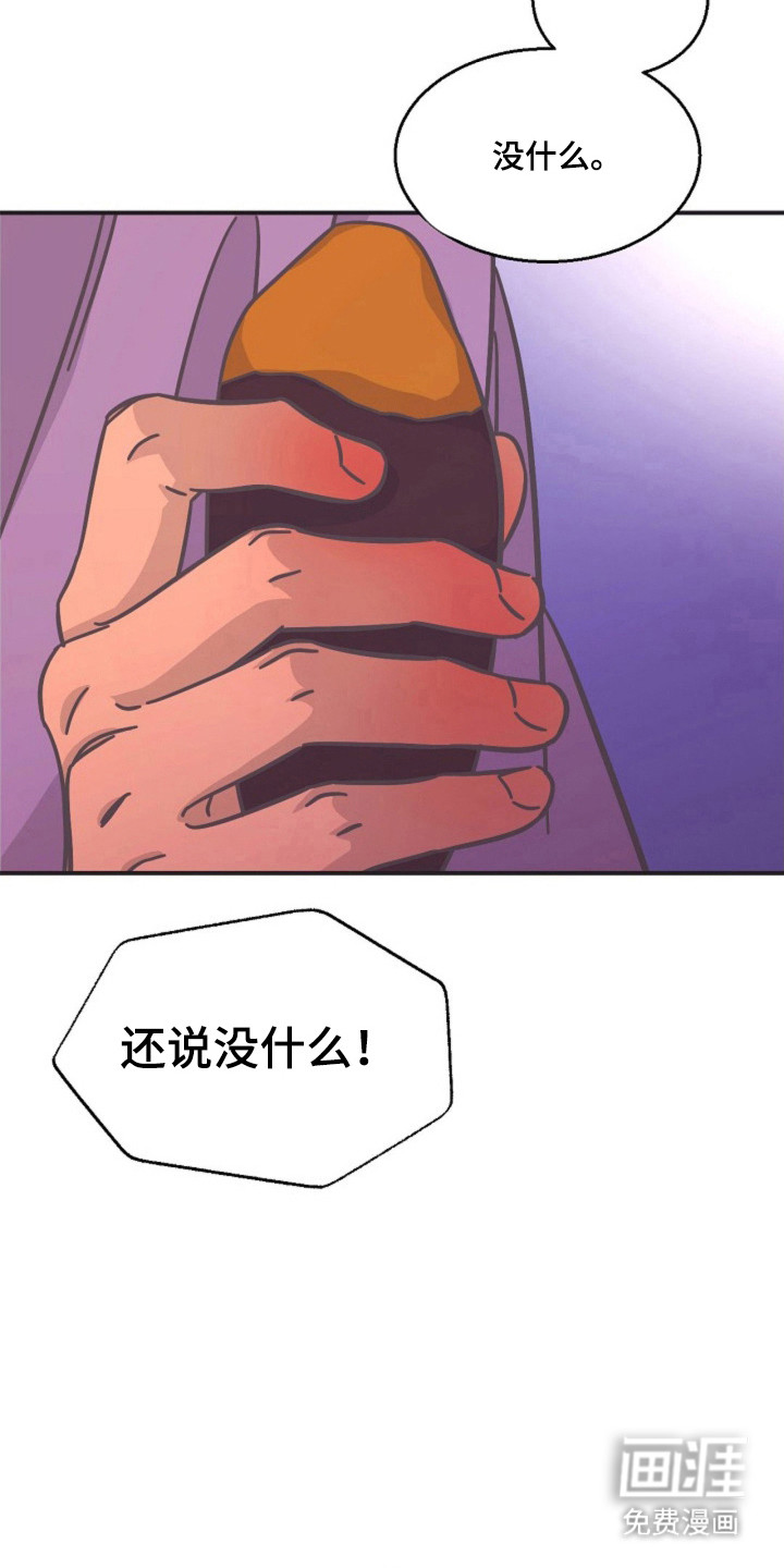 我的爱豆弟弟 第17话 第12页