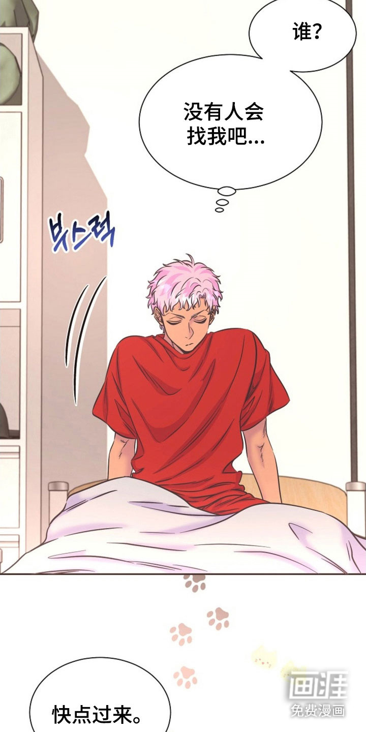 我的爱豆弟弟 第51话 第5页