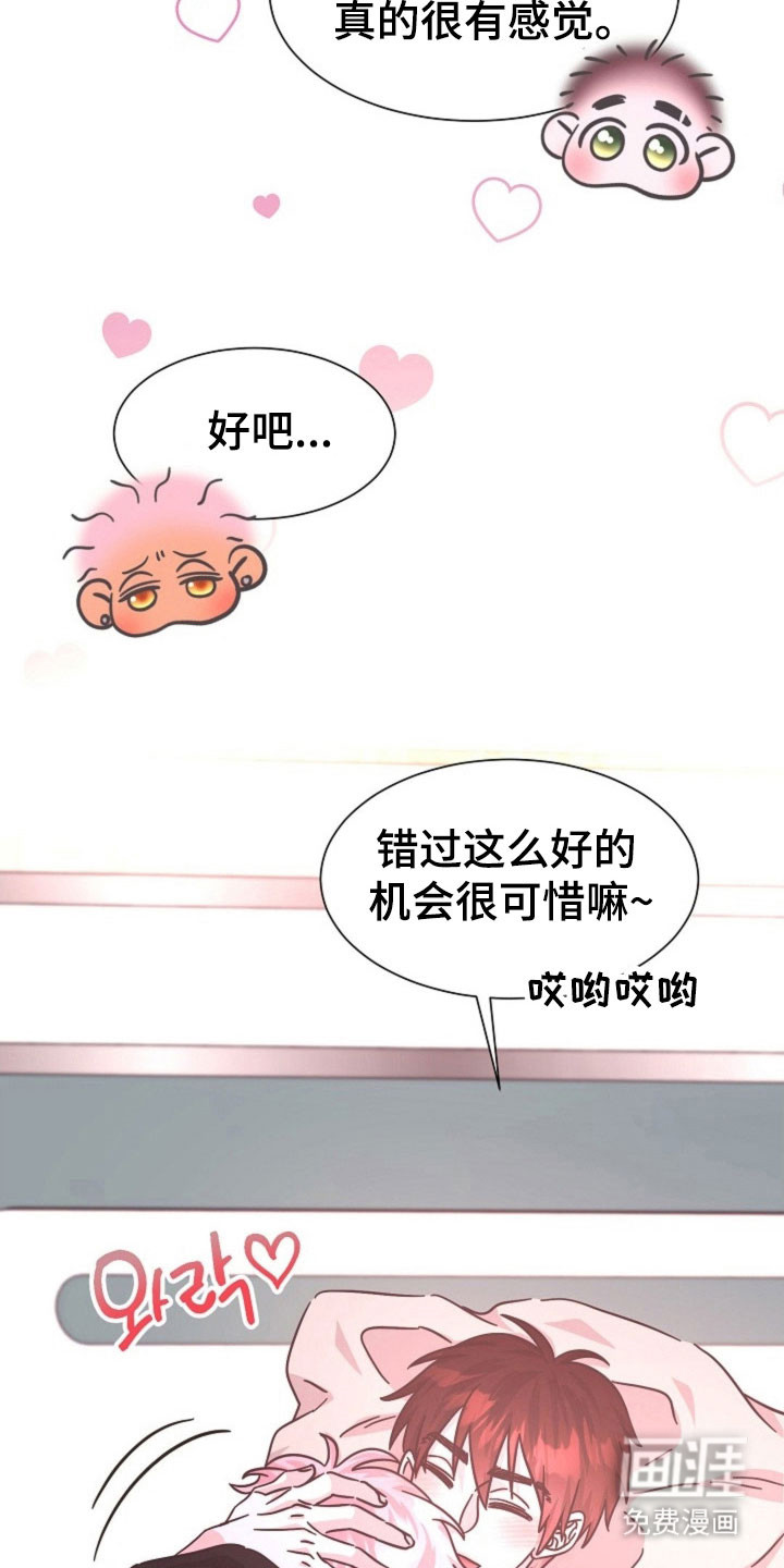 我的爱豆弟弟 第41话 第12页