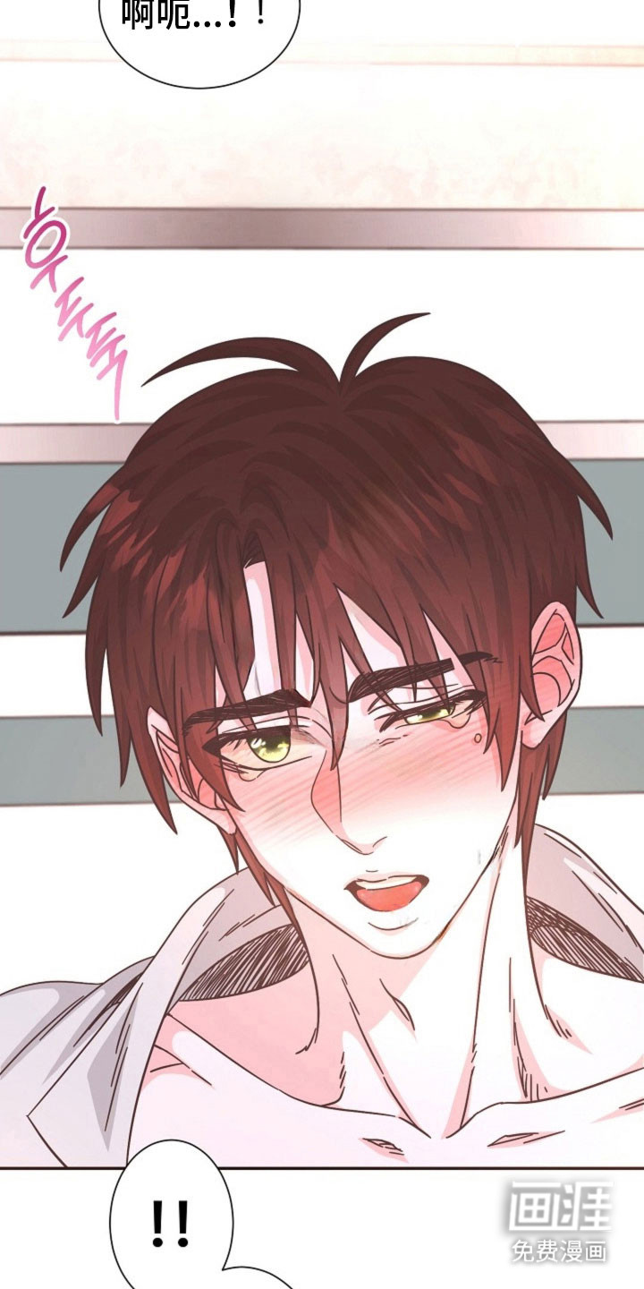 我的爱豆弟弟 第41话 第6页