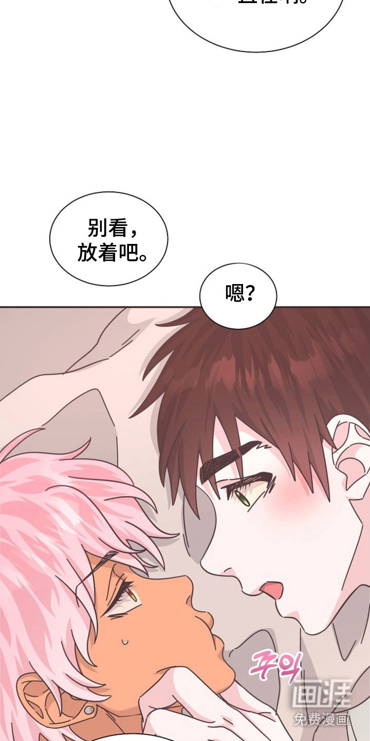 我的爱豆弟弟 第40话 第17页