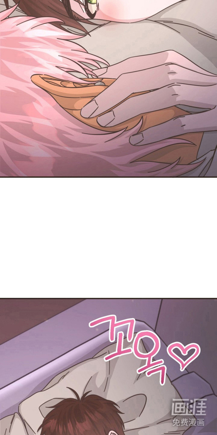 我的爱豆弟弟 第36话 第11页