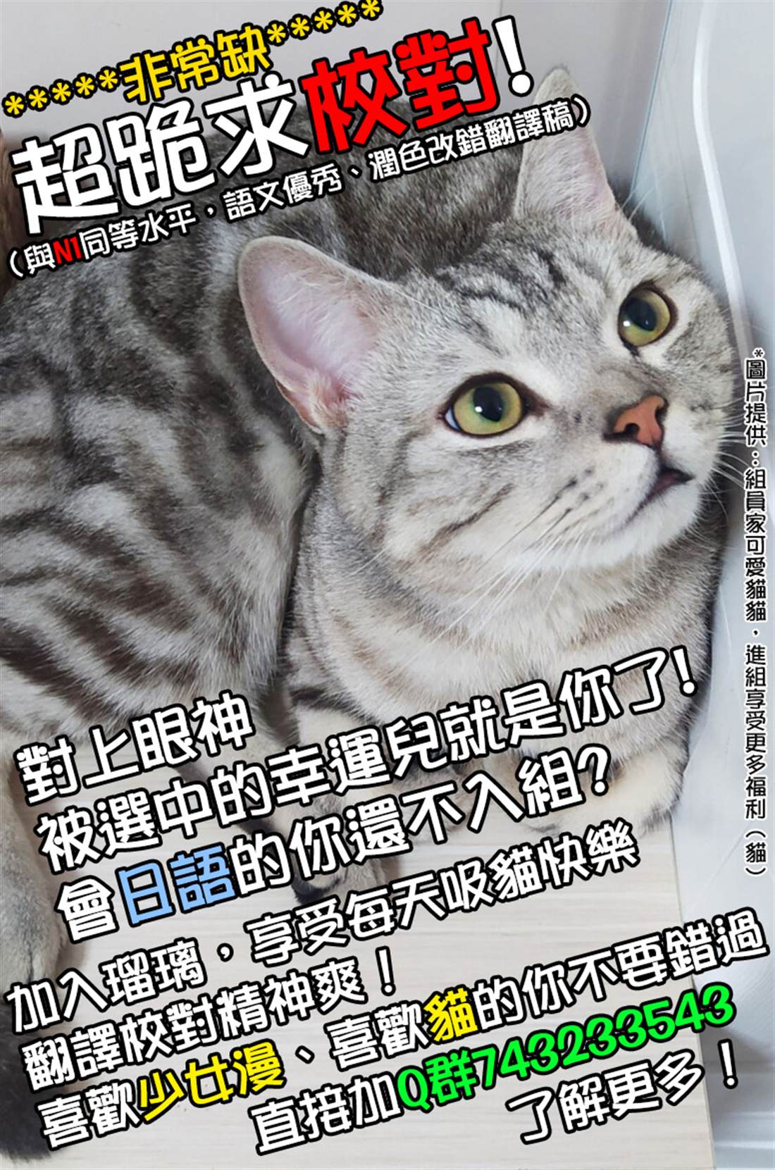 我们相恋的理由 第4话 第15页