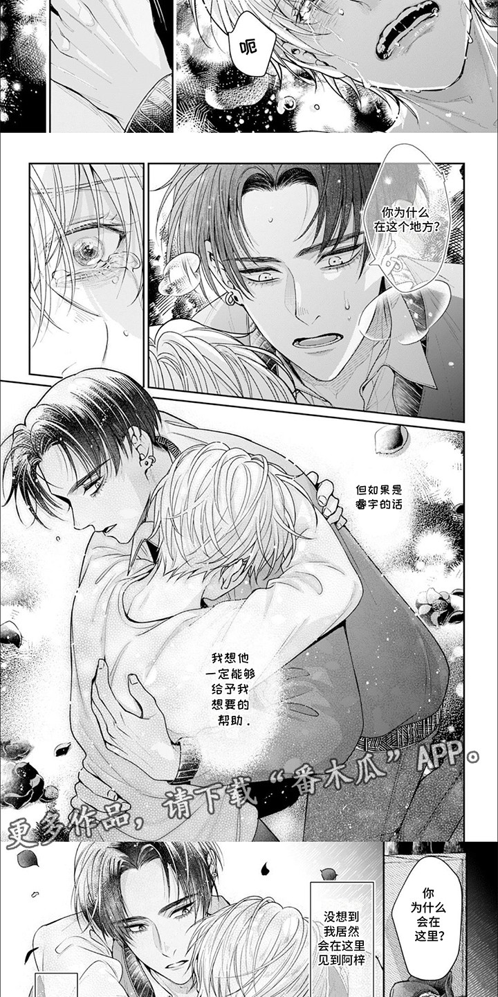 自私的猫与爱 第5话 第15页