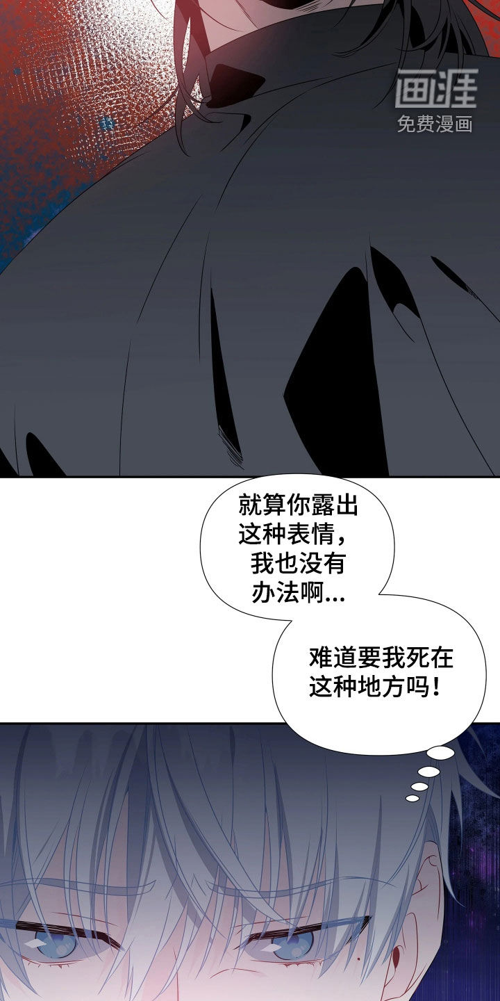 底牌与谎言 第12话 第5页