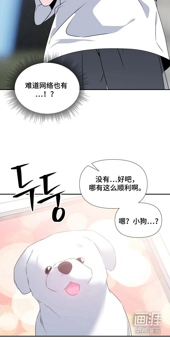 底牌与谎言 第11话 第4页