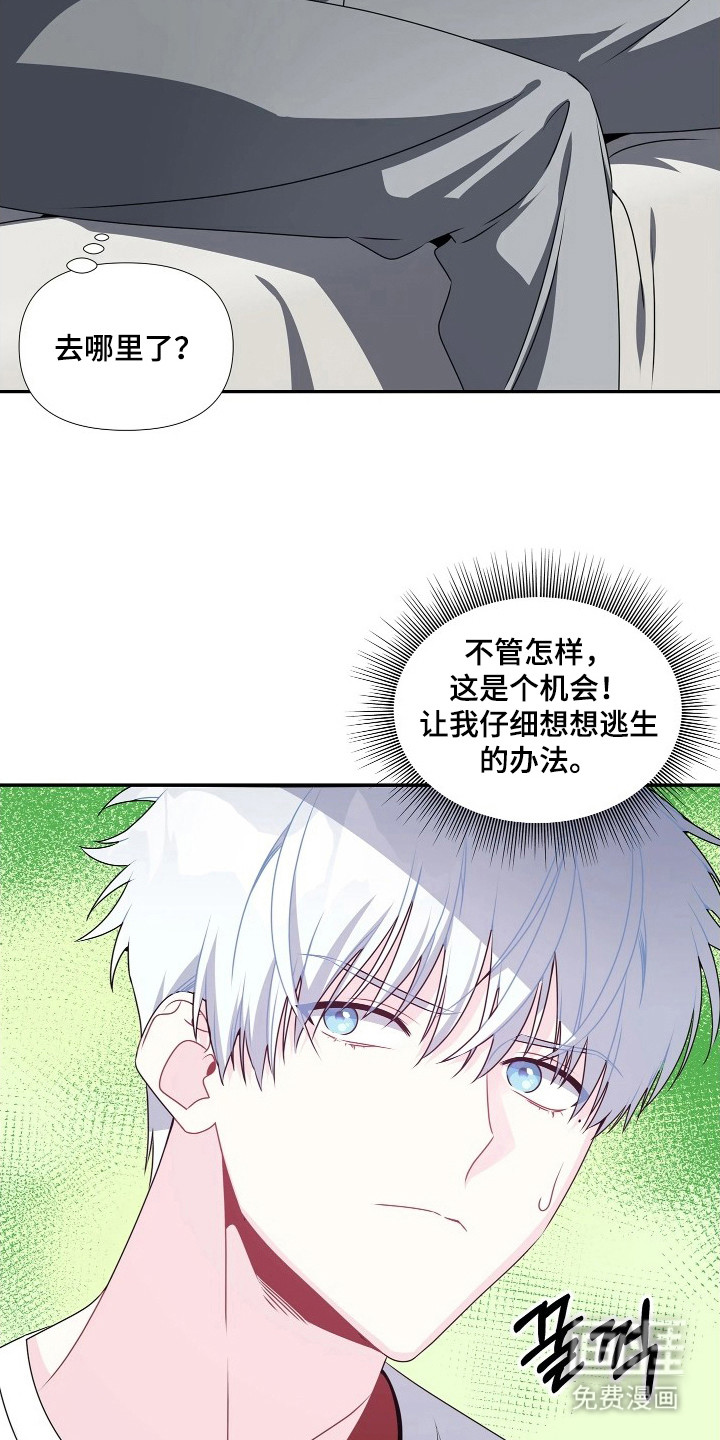 底牌与谎言 第10话 第20页