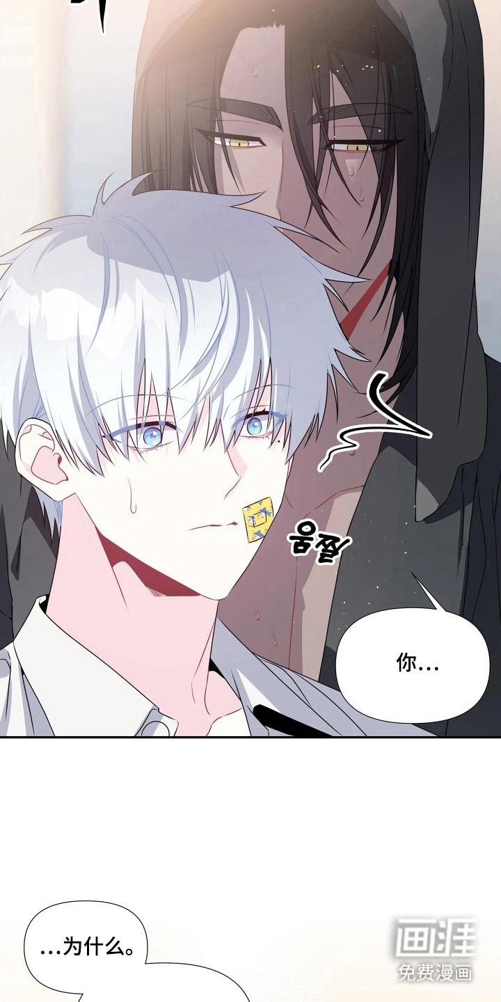 底牌与谎言 第9话 第23页
