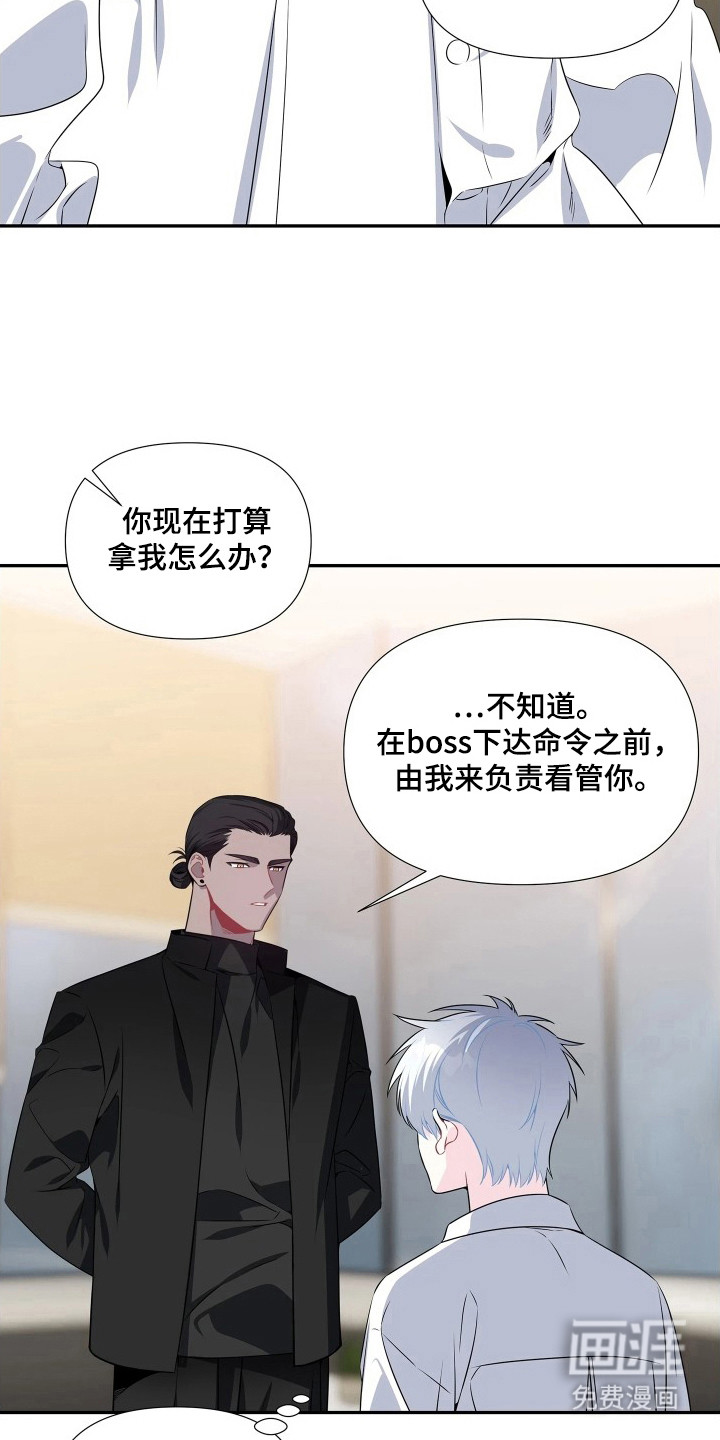 底牌与谎言 第8话 第19页