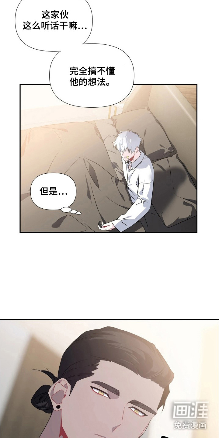 底牌与谎言 第8话 第20页