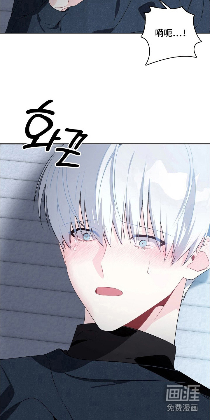 底牌与谎言 第7话 第12页