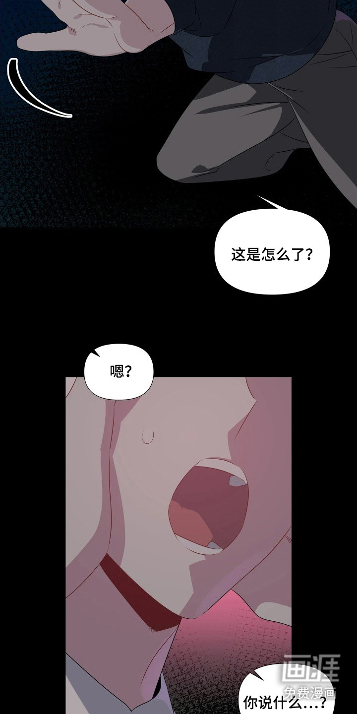 底牌与谎言 第5话 第11页