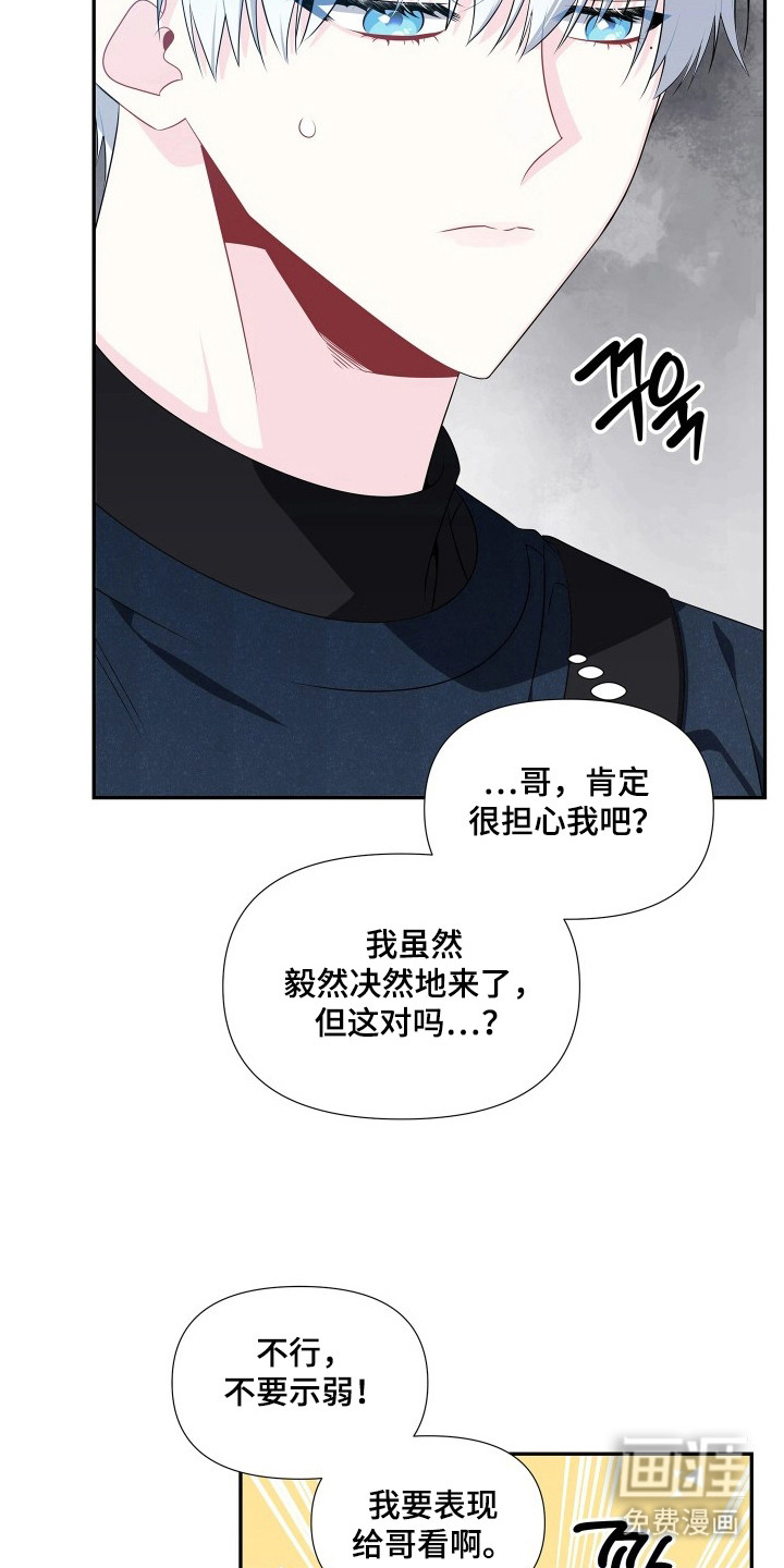 底牌与谎言 第4话 第5页