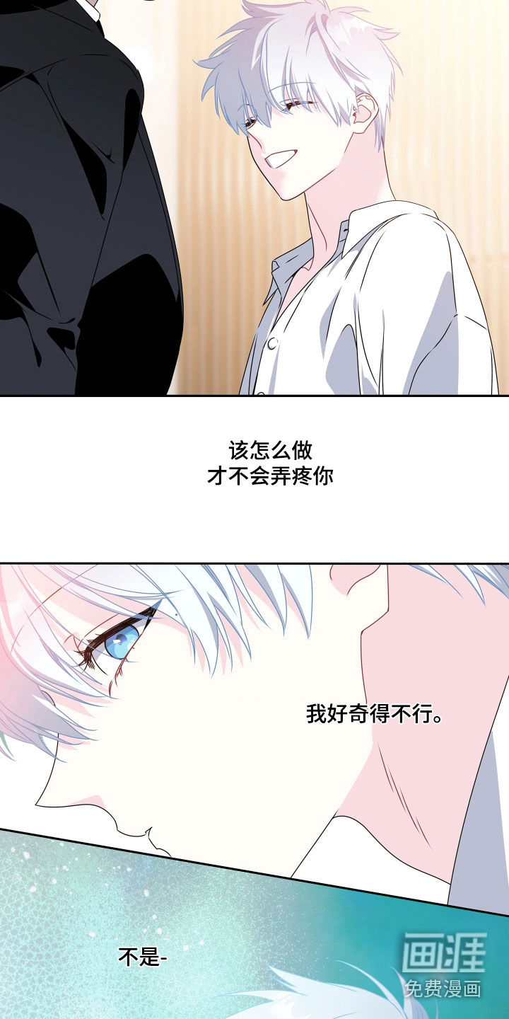 底牌与谎言 第16话 第11页