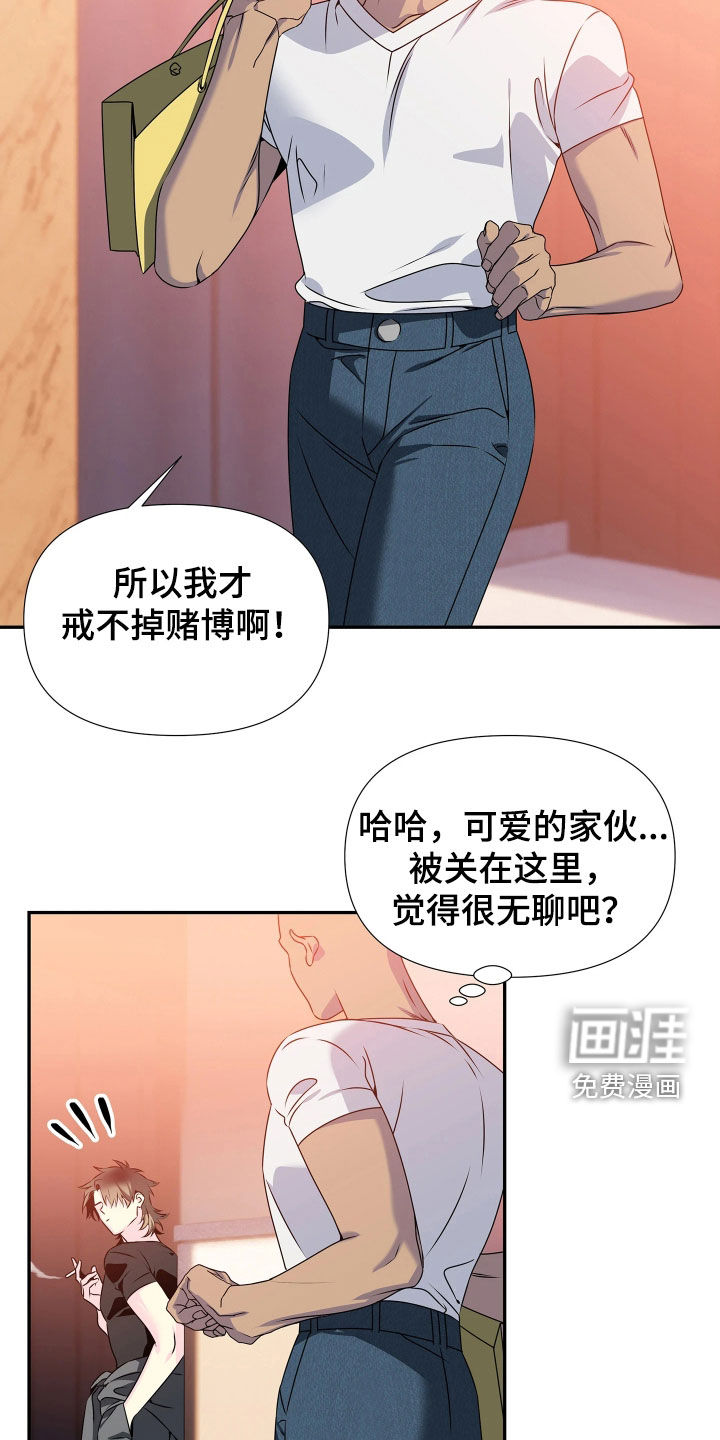 底牌与谎言 第22话 第19页