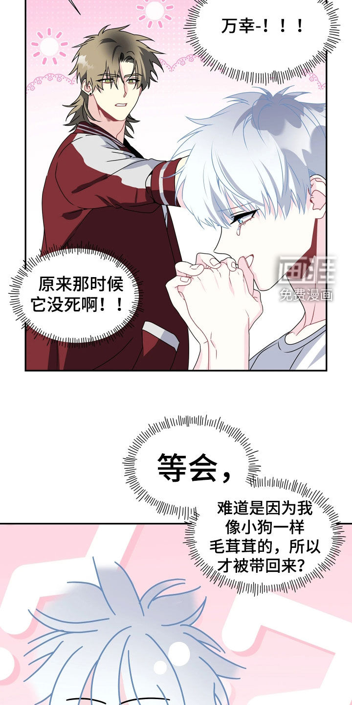 底牌与谎言 第32话 第19页