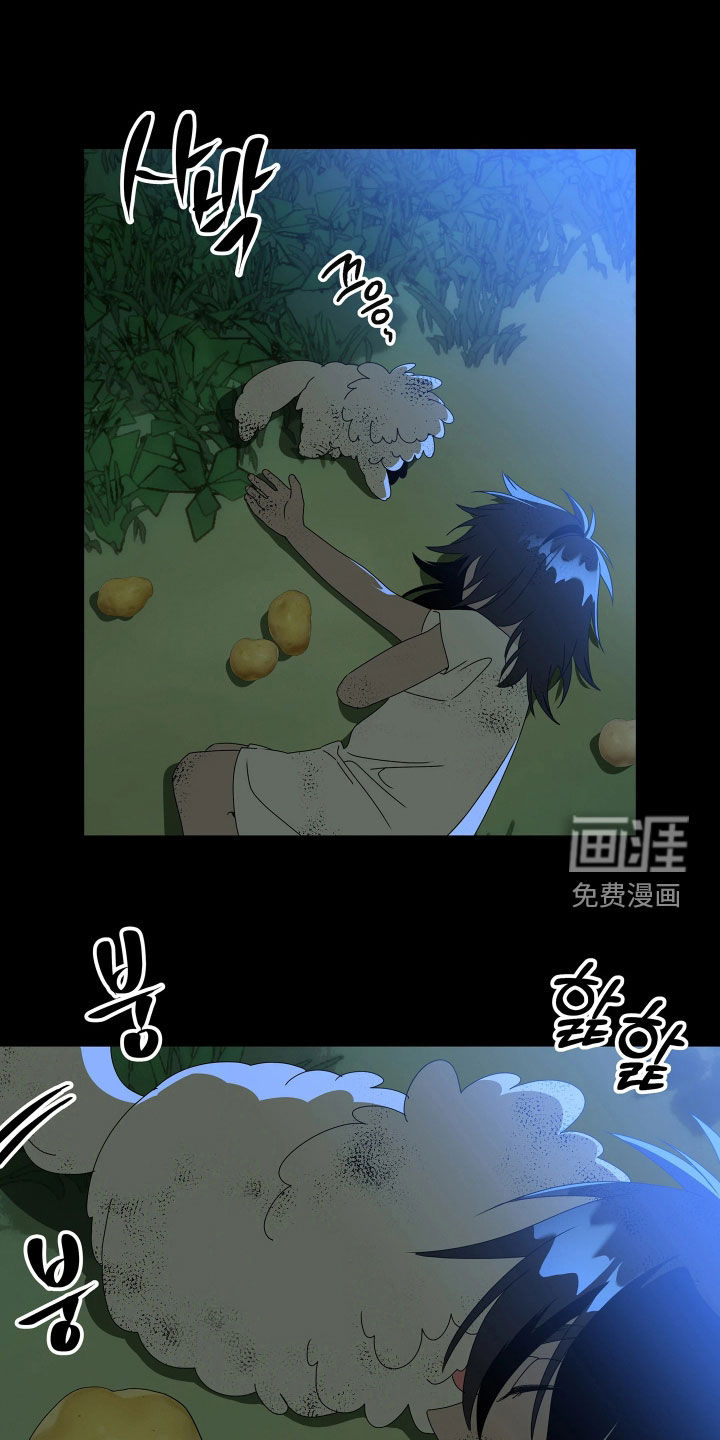 底牌与谎言 第31话 第20页