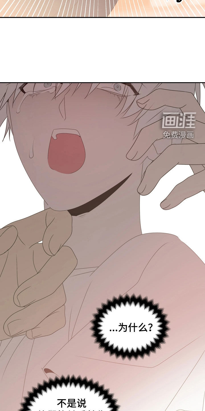 底牌与谎言 第34话 第13页