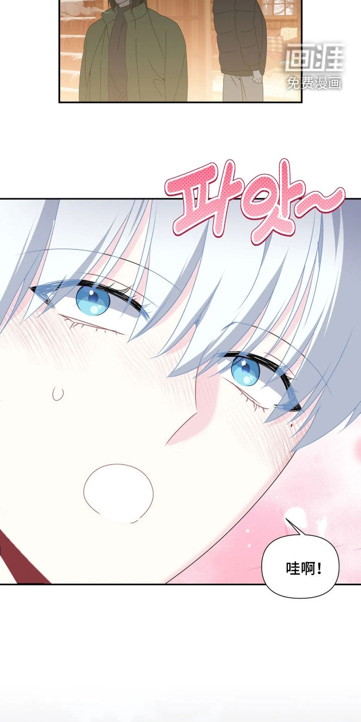 底牌与谎言 第40话 第17页