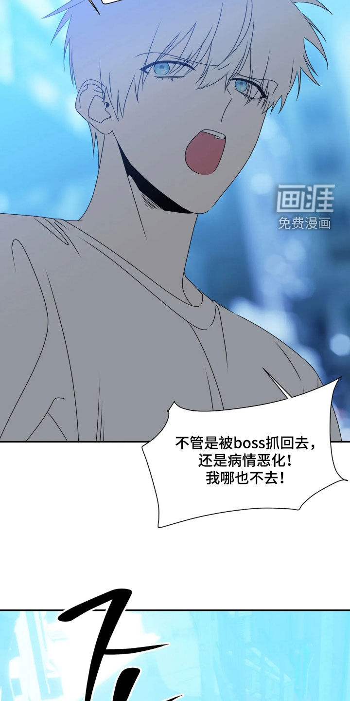 底牌与谎言 第37话 第13页