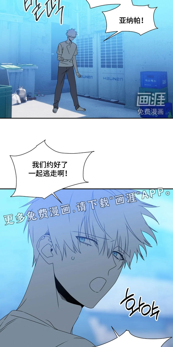 底牌与谎言 第37话 第3页