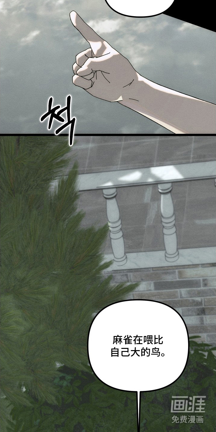 窥秘者 第11话 第11页