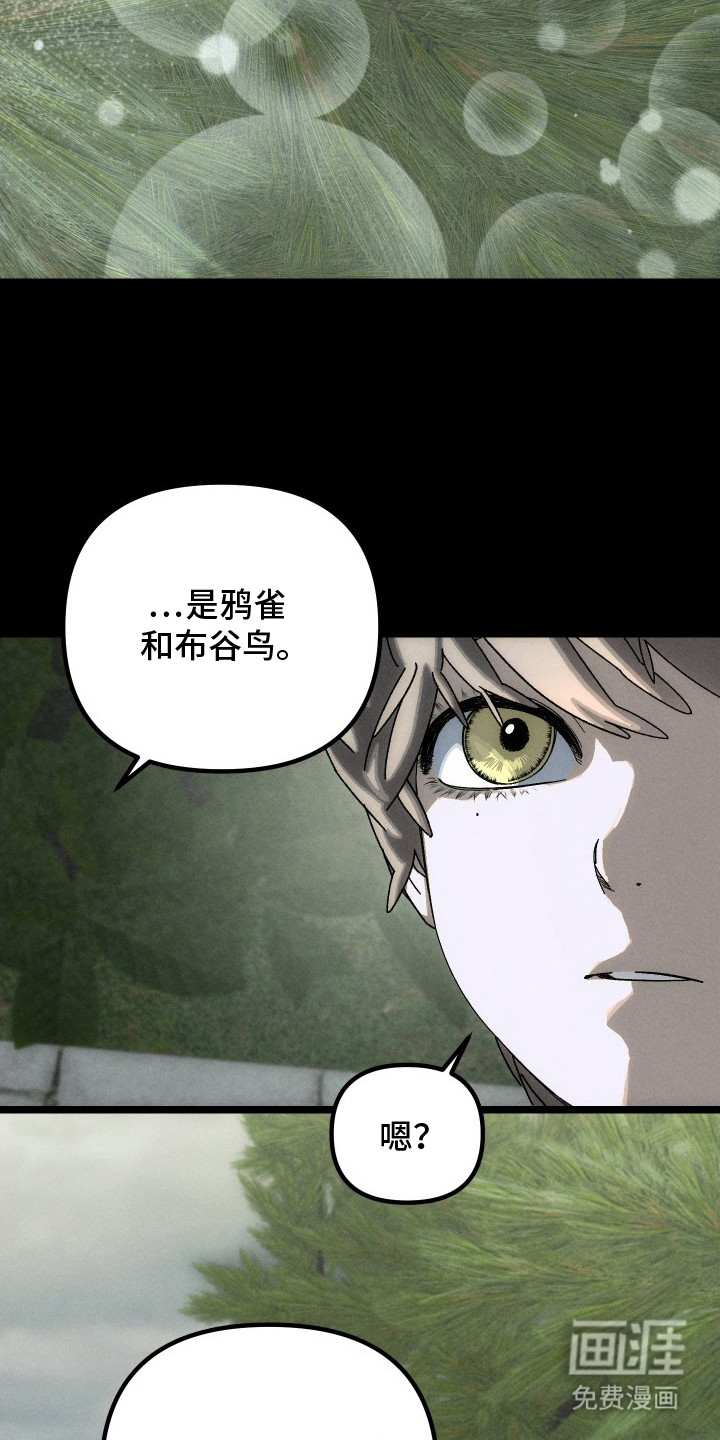 窥秘者 第11话 第13页