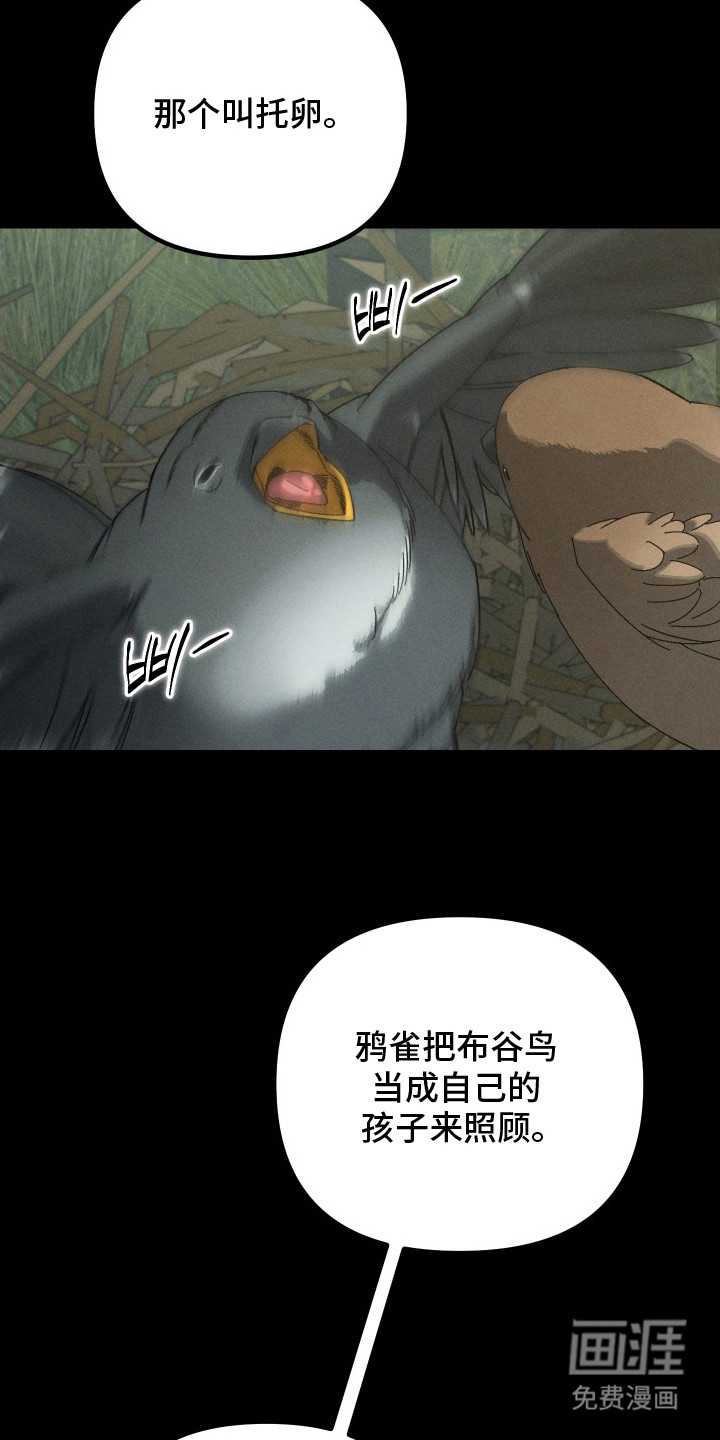 窥秘者 第11话 第15页