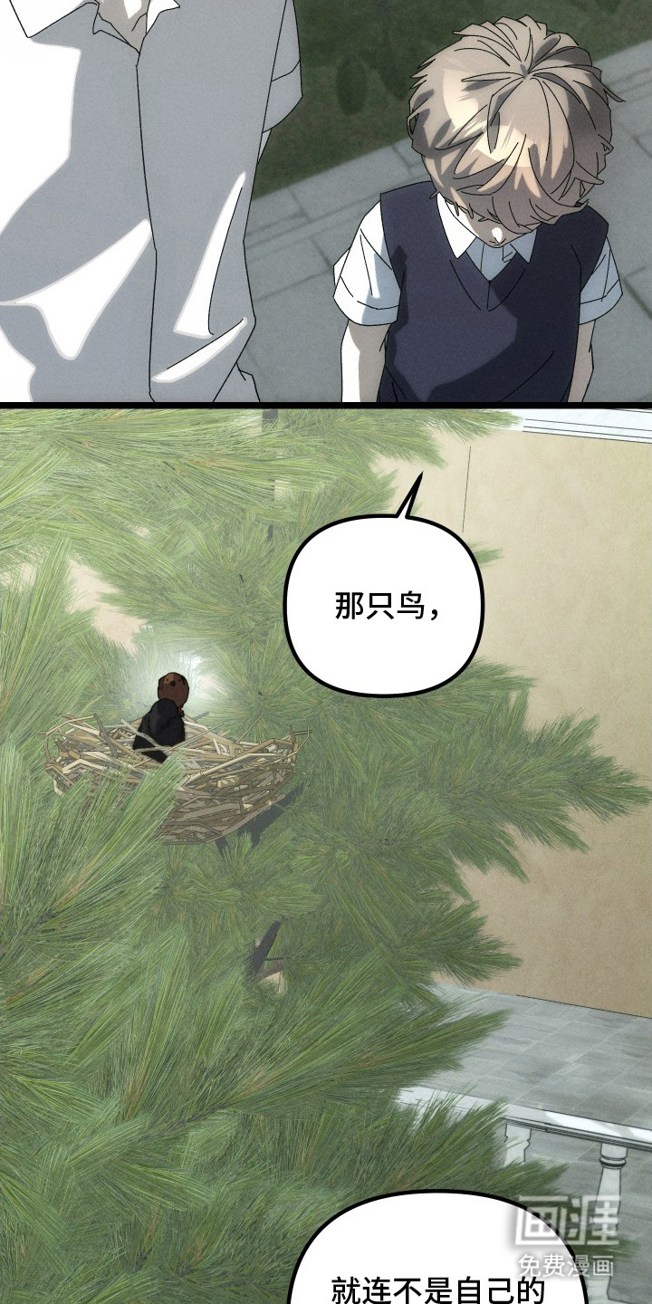 窥秘者 第11话 第17页