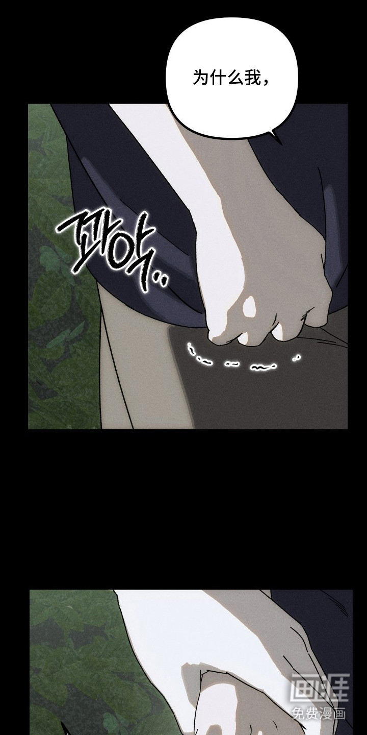 窥秘者 第11话 第19页