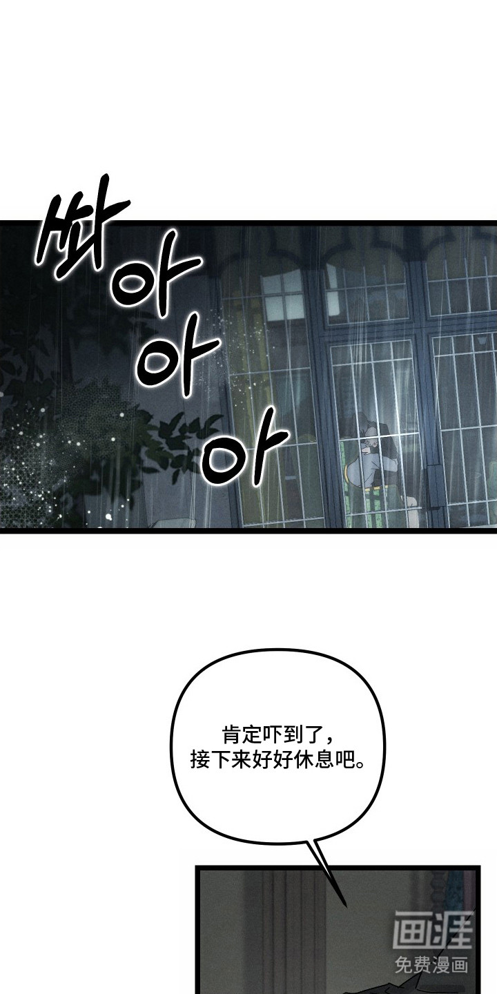 窥秘者 第8话 第1页