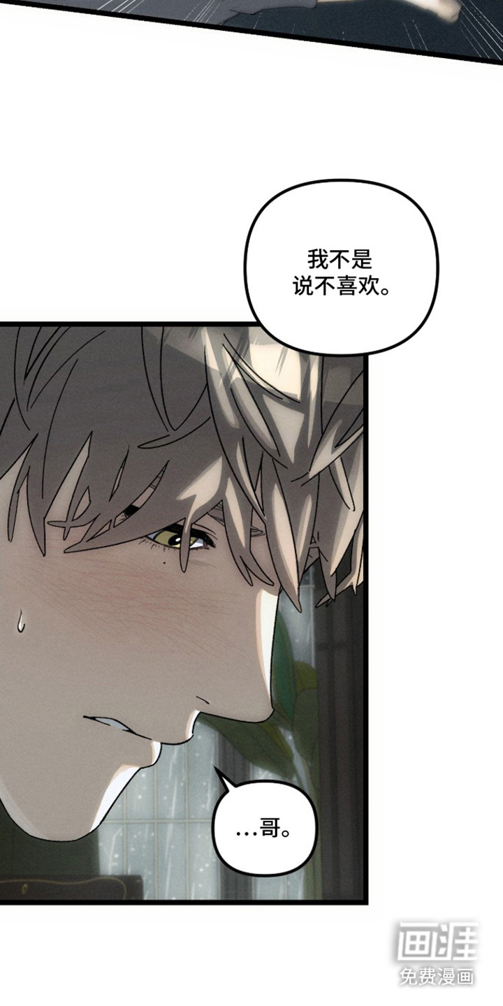窥秘者 第8话 第14页