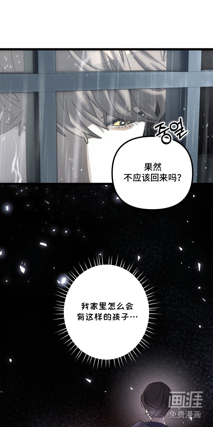 窥秘者 第7话 第5页