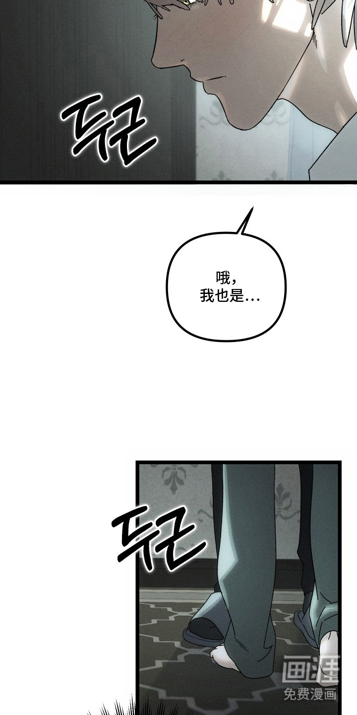 窥秘者 第5话 第4页