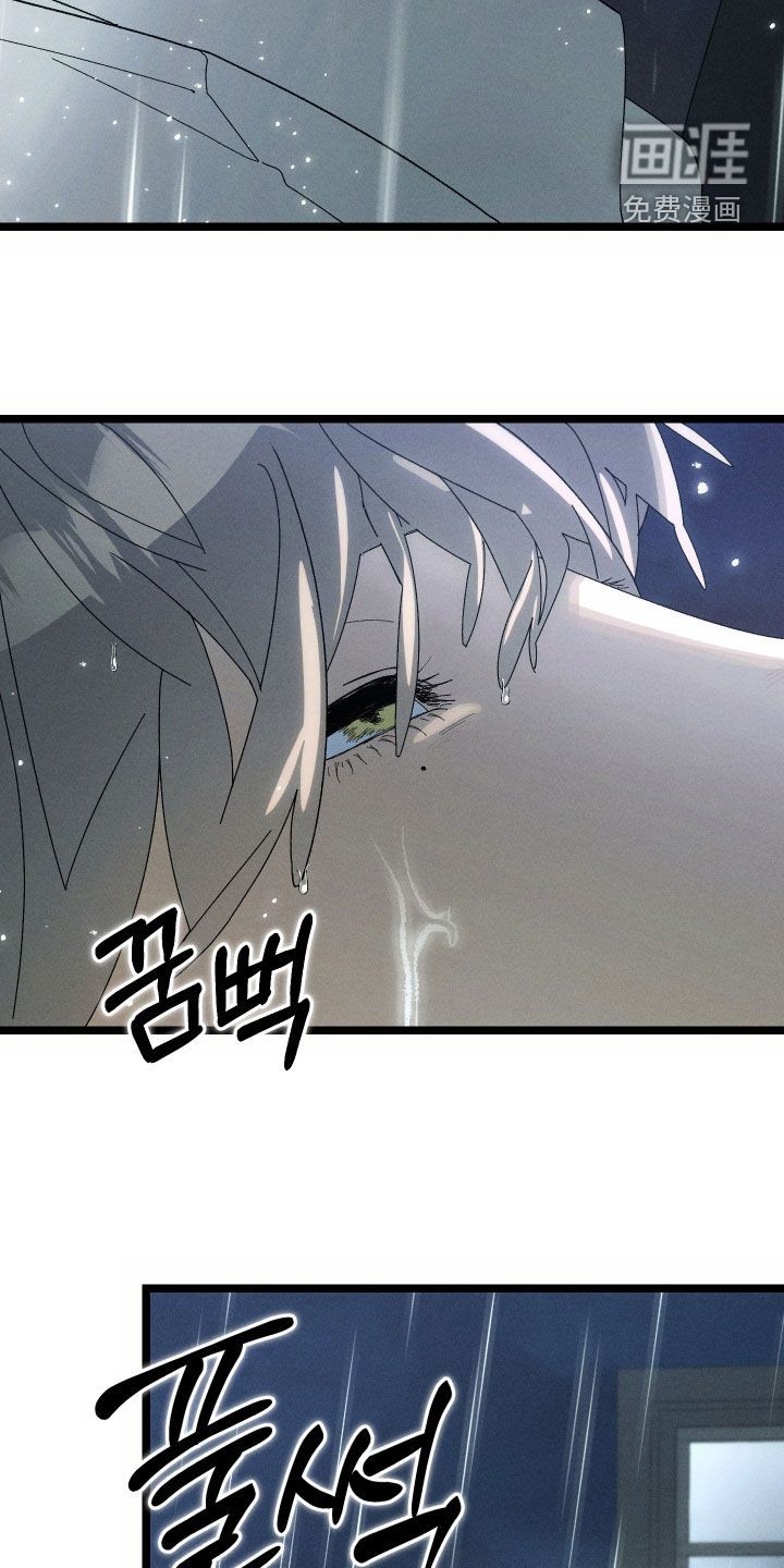 窥秘者 第19话 第14页