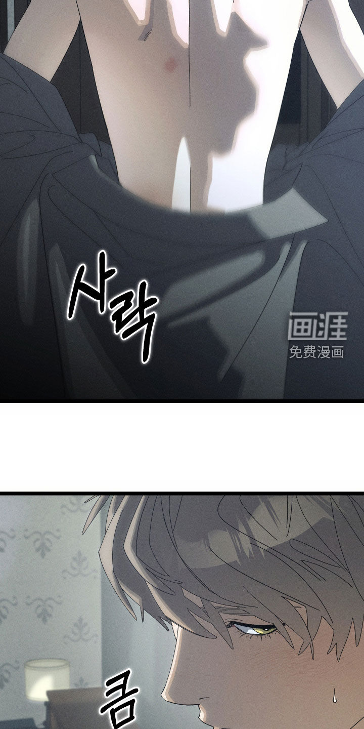 窥秘者 第21话 第13页