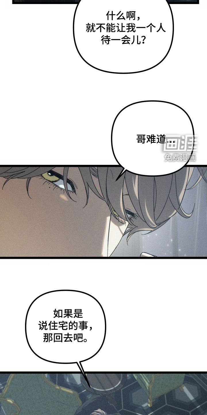 窥秘者 第26话 第17页