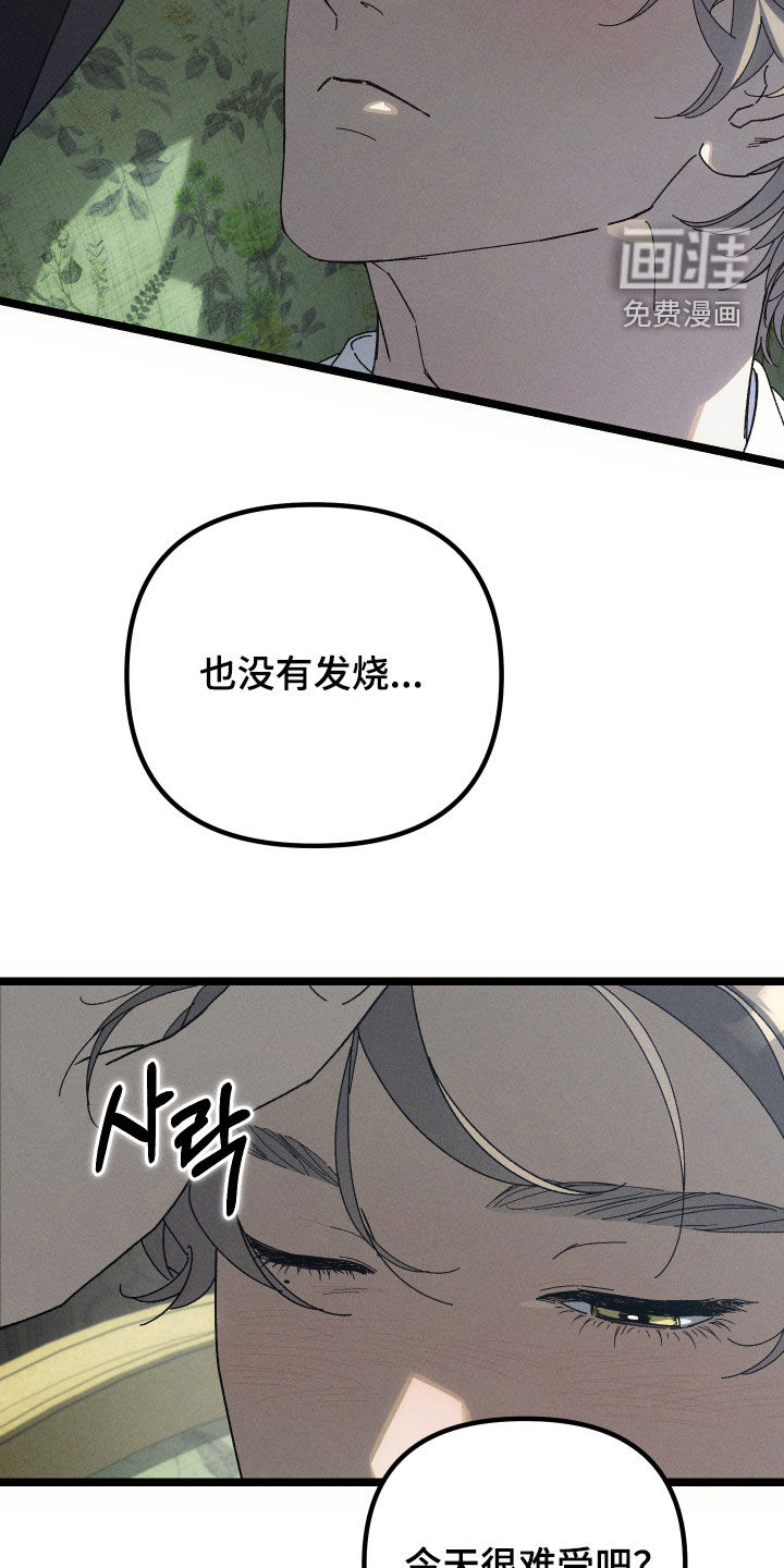 窥秘者 第25话 第33页