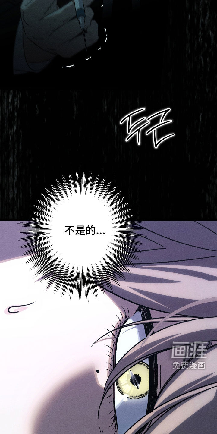 窥秘者 第29话 第33页