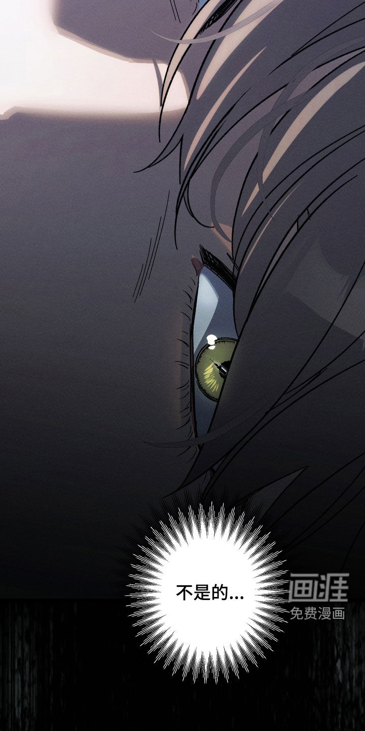 窥秘者 第29话 第34页