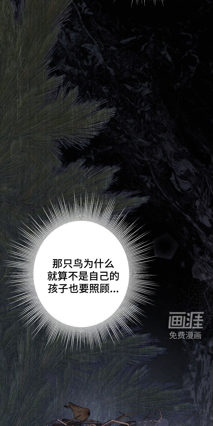 窥秘者 第28话 第2页