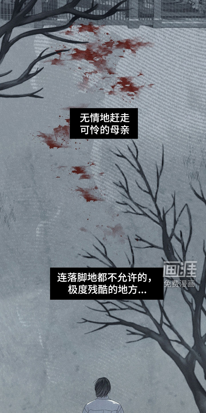 窥秘者 第27话 第29页
